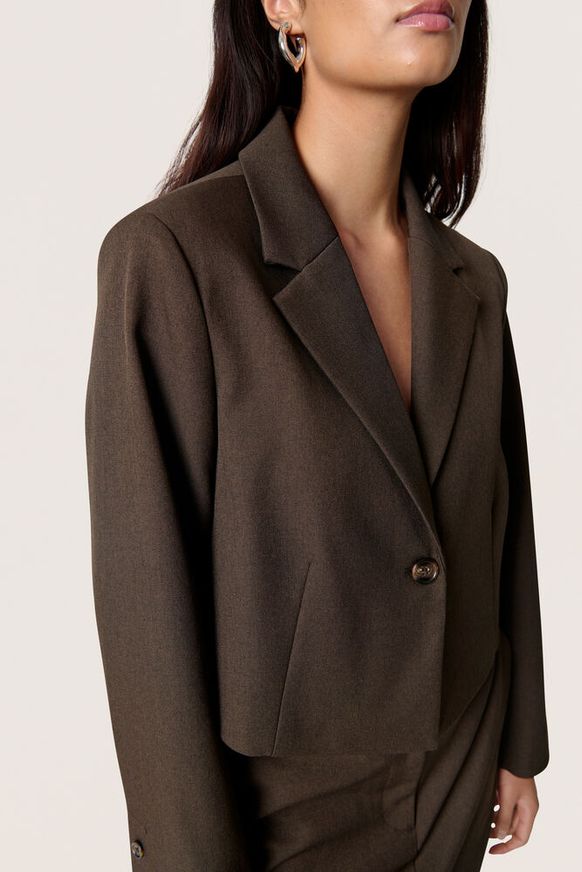 Soaked in Luxury - Lilu Corinne Cropped Blazer