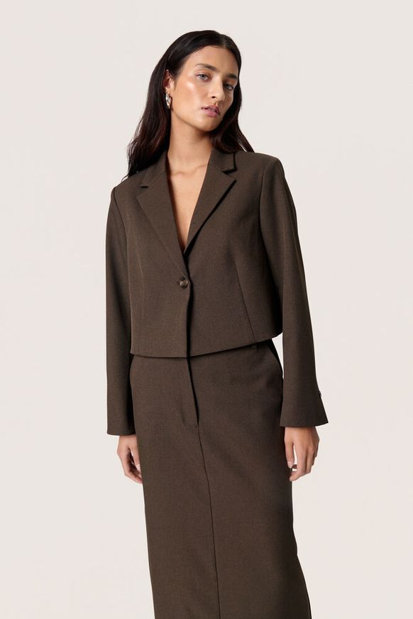 Soaked in Luxury - Lilu Corinne Cropped Blazer